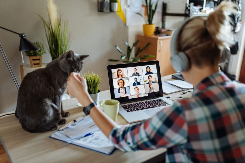 Working from home, with cat on desk
