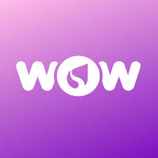 image. logo of ways to wow